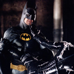 コウモリ　駆除　自分で　