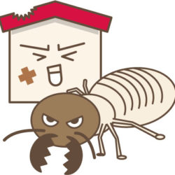 シロアリ　駆除　自分で　市販　対策　